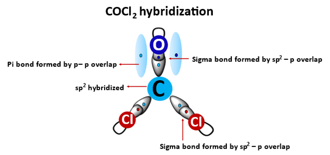 cocl2 hybridization