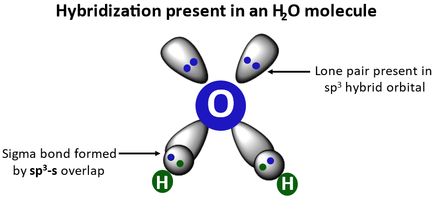 h2o hybridization