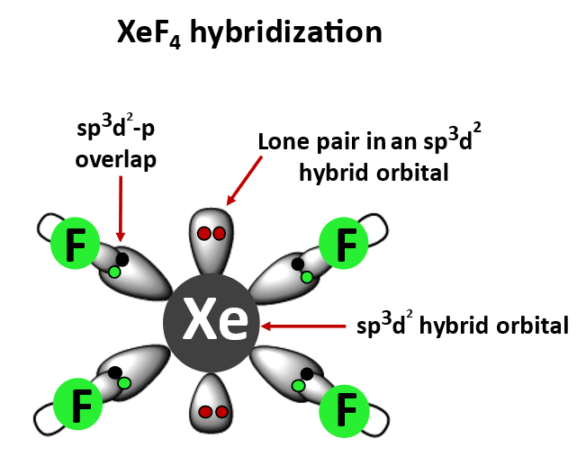 XeF4 hybridization