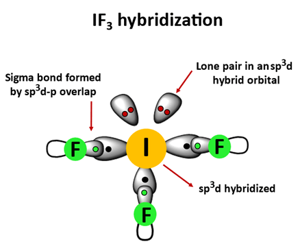 if3 hybridization