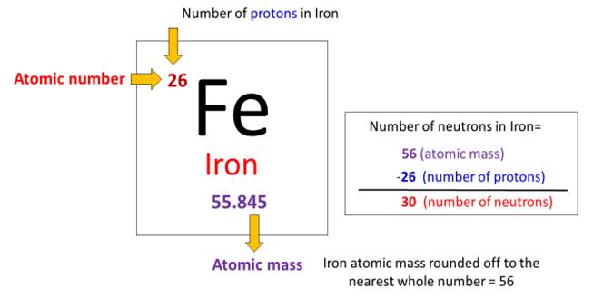 number of neutrons in iron bohr model