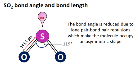 SO2 bond angle