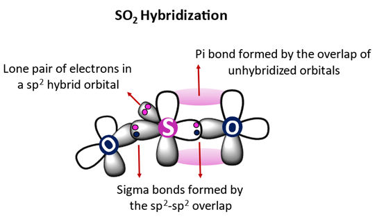 SO2 hybridization