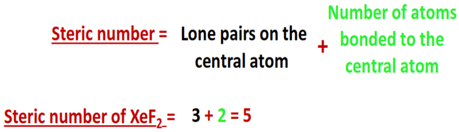 steric number for xef2 hybridization