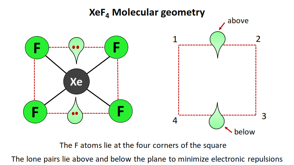 XeF4 molecular geometry or shape