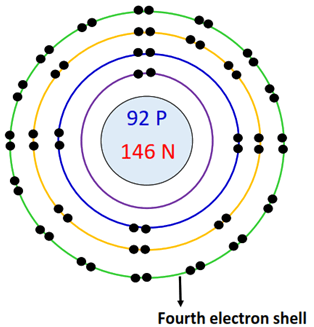 Uranium Bohr Model - How to draw Bohr diagram for Uranium (U)?