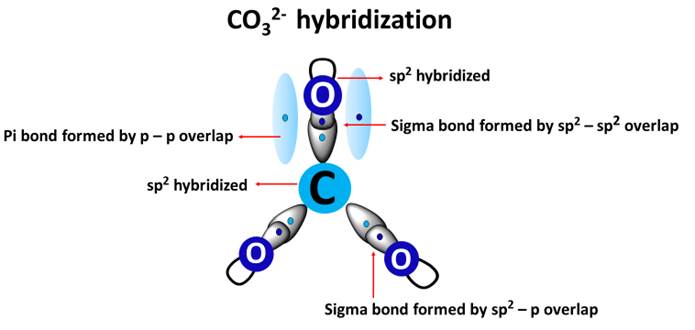 co32- hybridization