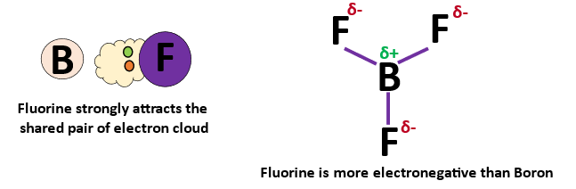 electronegativity affecting the polarity of BF3