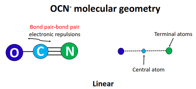 ocn- molecular geometry or shape