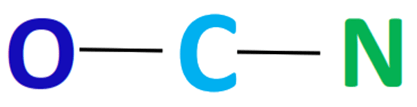 ocn- skeletal structure