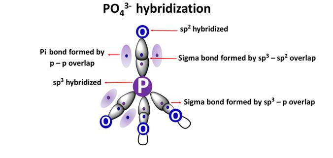 po43- hybridization