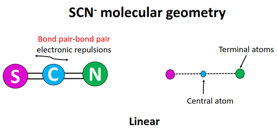 scn- molecular geometry or shape