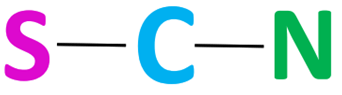 scn- skeletal structure