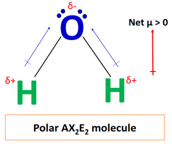AX2E2 polar or nonpolar