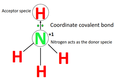 Why is nitrogen positively charged in NH4+