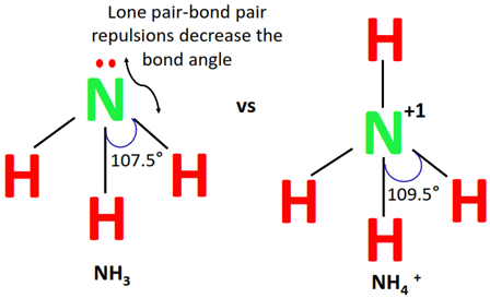 bond angle of nh4+ vs nh3