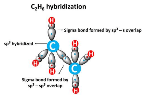 c2h6 hybridization