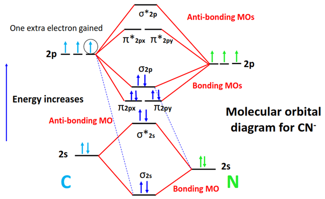 cn- molecular orbital diagram (MO)