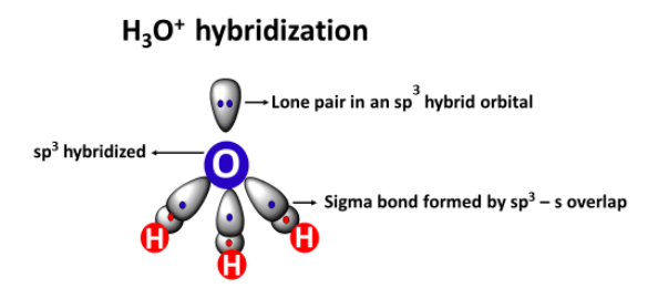 h3o+ hybridization