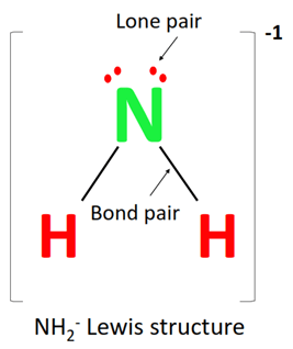 lone pair and bond pairs in nh2- lewis structure