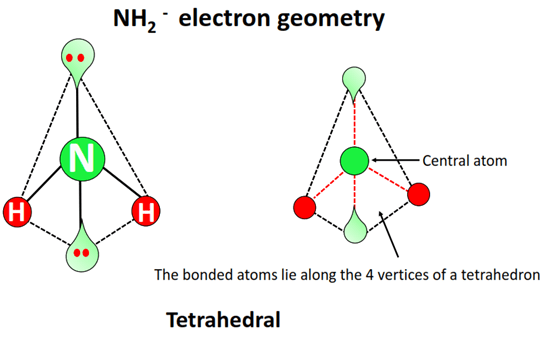 nh2- electron geometry