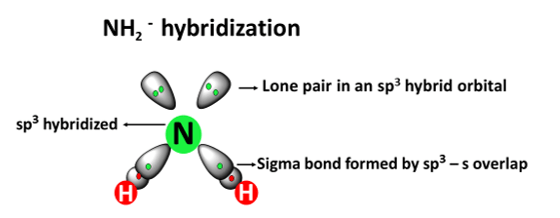 nh2- hybridization