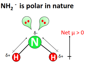 nh2- polar or nonpolar