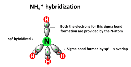 nh4+ hybridization