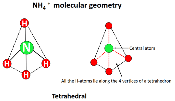 nh4+ molecular geometry or shape