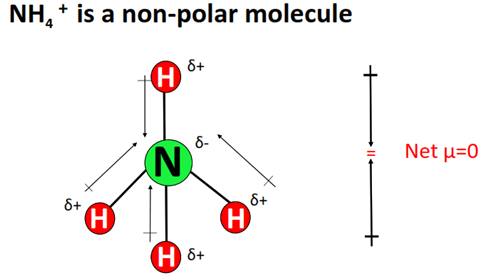 nh4+ polar or nonpolar