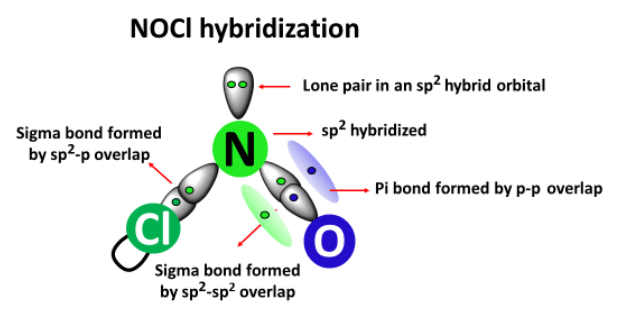 nocl hybridization