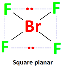 shape of brf4-