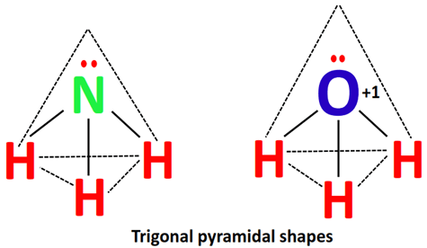 shape of h3o+ vs nh3