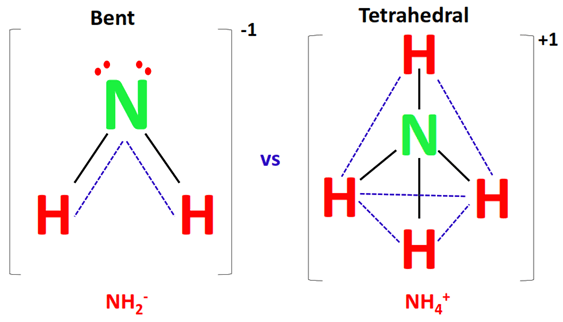 shape of nh2- vs nh4+