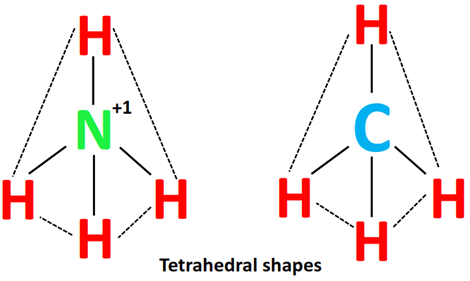 shape of nh4+ vs ch4