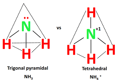 shape of nh4+ vs nh3