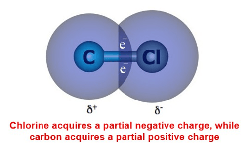Due to this electronegativity difference, each bond in C₂Cl₄ has a polar character