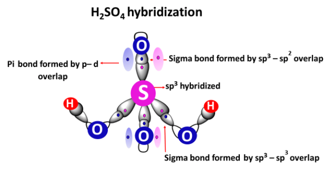 H2SO4 hybridization