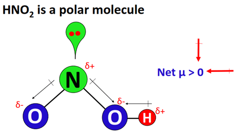 HNO2 polar or nonpolar