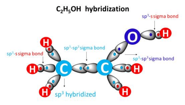 ethanol (c2h5oh) hybridization