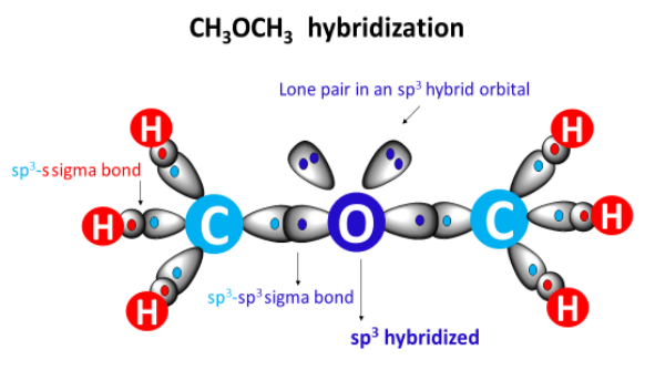ch3och3 hybridization
