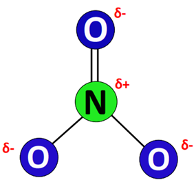 charge distribution in NO3-