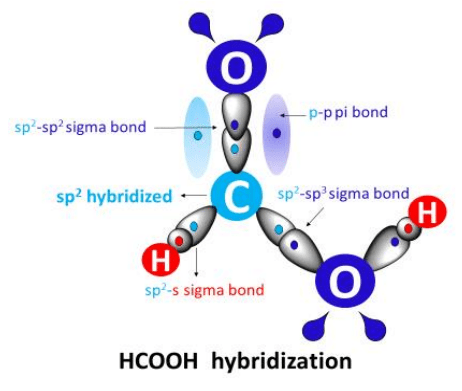 hcooh hybridization