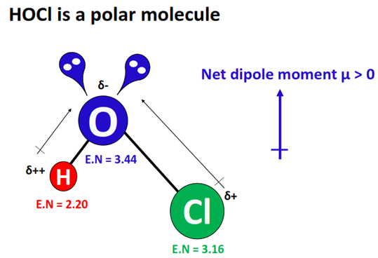 hocl polar or nonpolar