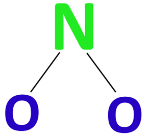 no2- skeletal structure