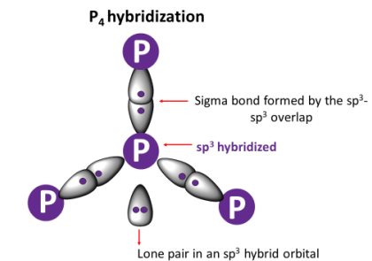 p4 hybridization