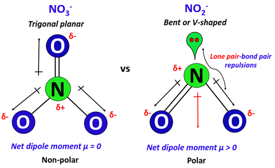 polarity of NO3- vs NO2-