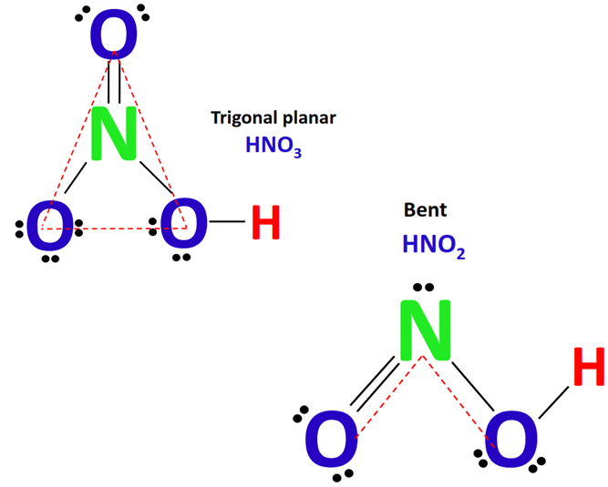 shape of hno3 vs hno2