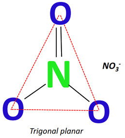 shape of no3-