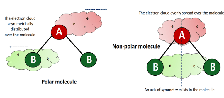 what are polar and nonpolar molecule